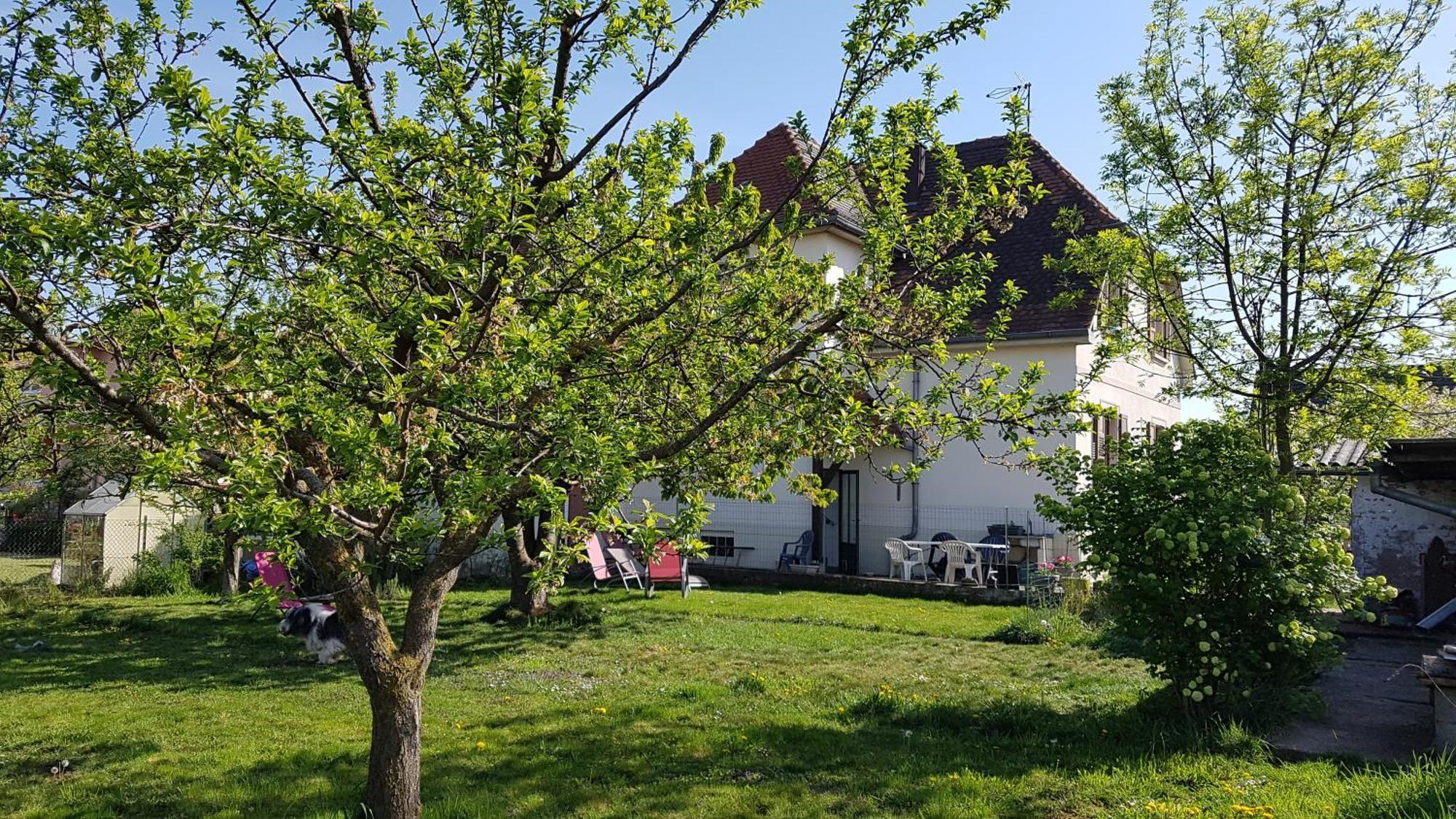Maison Les 3 Roses Wolfisheim Экстерьер фото